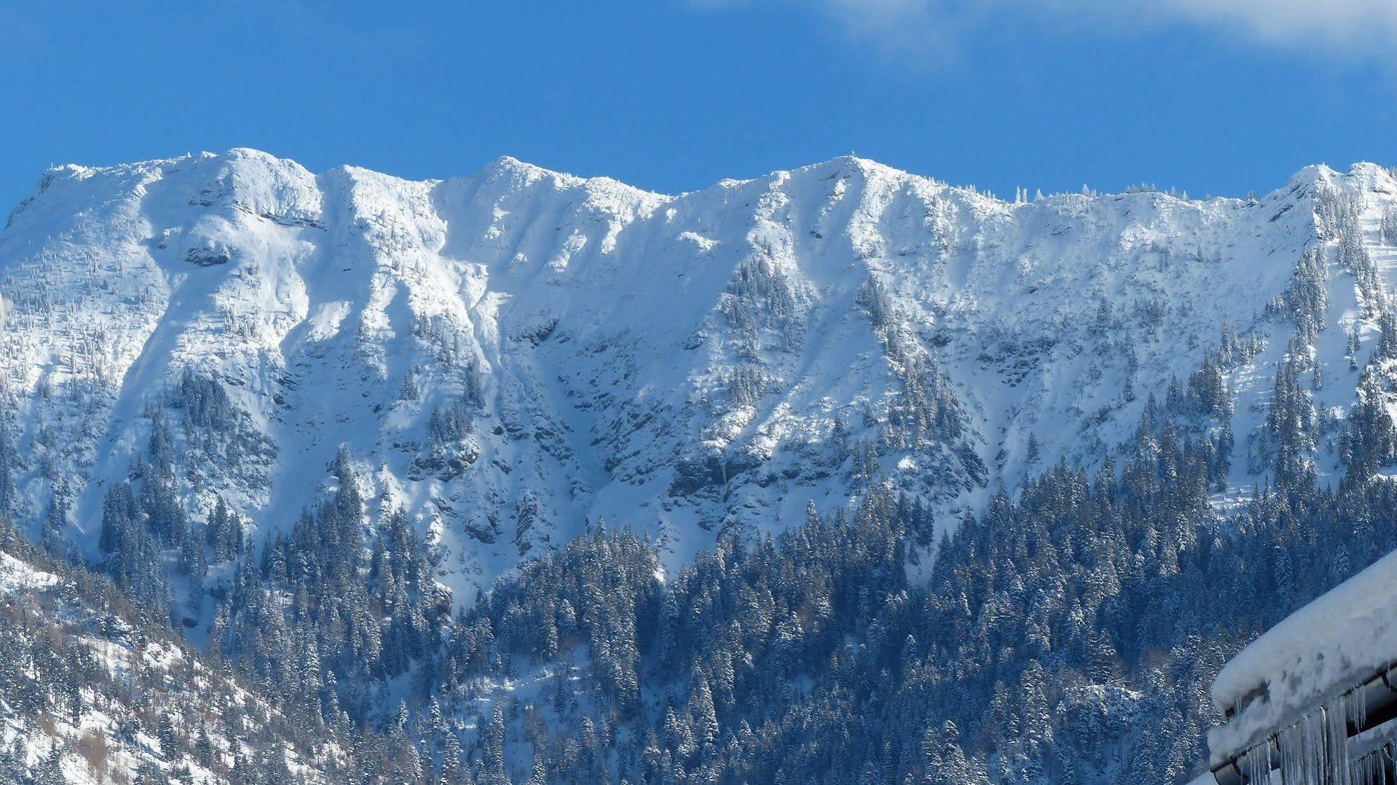 Hotel Restaurant Amadeus - Inclusive Skipass Und Vieles Mehr Bad Hindelang Bagian luar foto